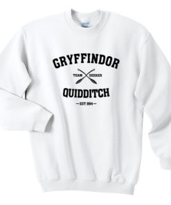 Gryffindor Quidditch Team Seeker