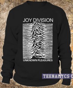 Joy Division sweatshirt