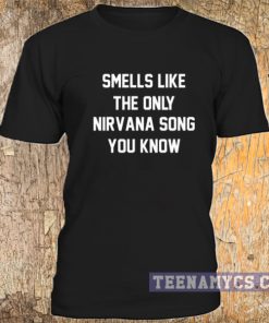 Smells like the only Nirvana song you know t-shirt