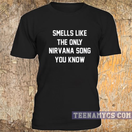 Smells like the only Nirvana song you know t-shirt