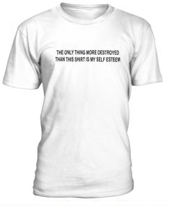 The only thing more destroyed T-Shirt