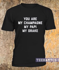 You are my champagne, my papi, my drake T-Shirt