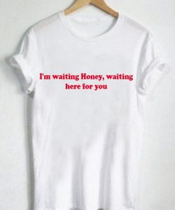 I'm waiting here for you honey T shirt